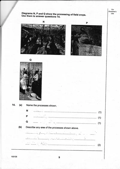 Agriculture PSLE 2015 Paper 1, page 5: disease and livestock management