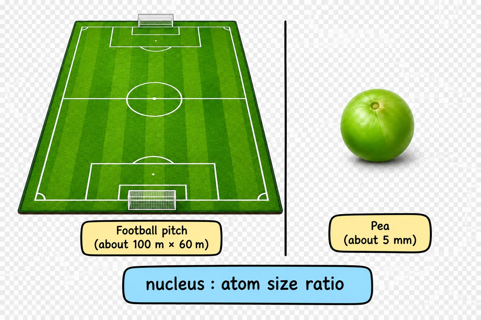 Illustration comparing the size of an atomic nucleus to the size of a whole atom, like a pea on a football pitch