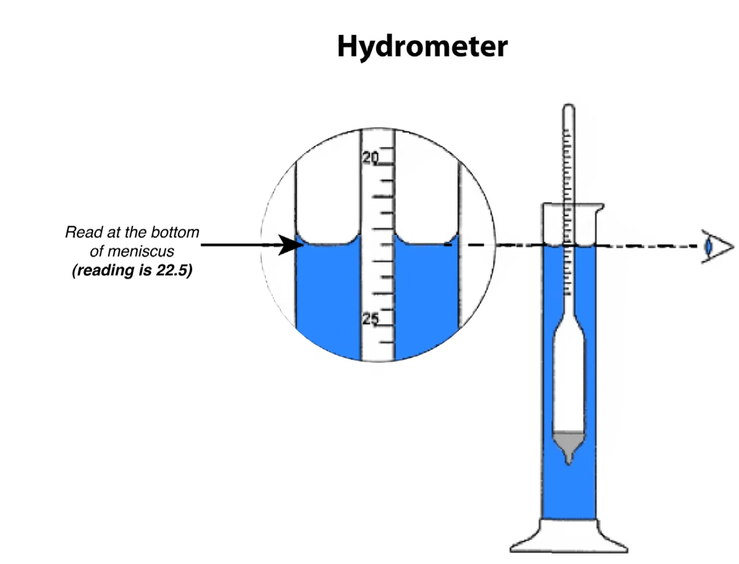 Close-up of a hydrometer's calibrated density scale, showing how the reading is taken level with the liquid surface
