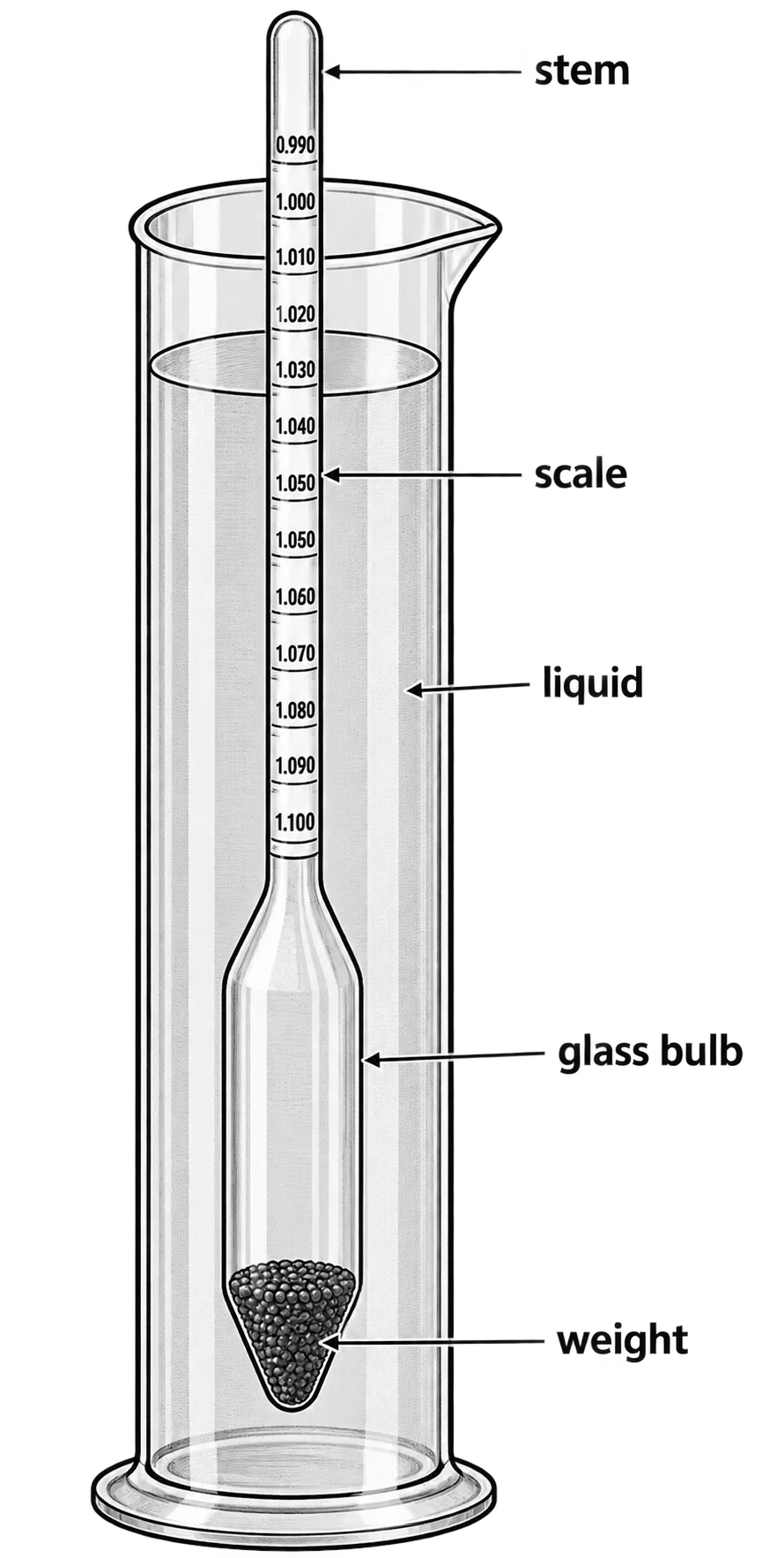 A hydrometer, a sealed glass tube weighted at the bottom with a calibrated scale printed along its narrow stem, floating upright in a liquid